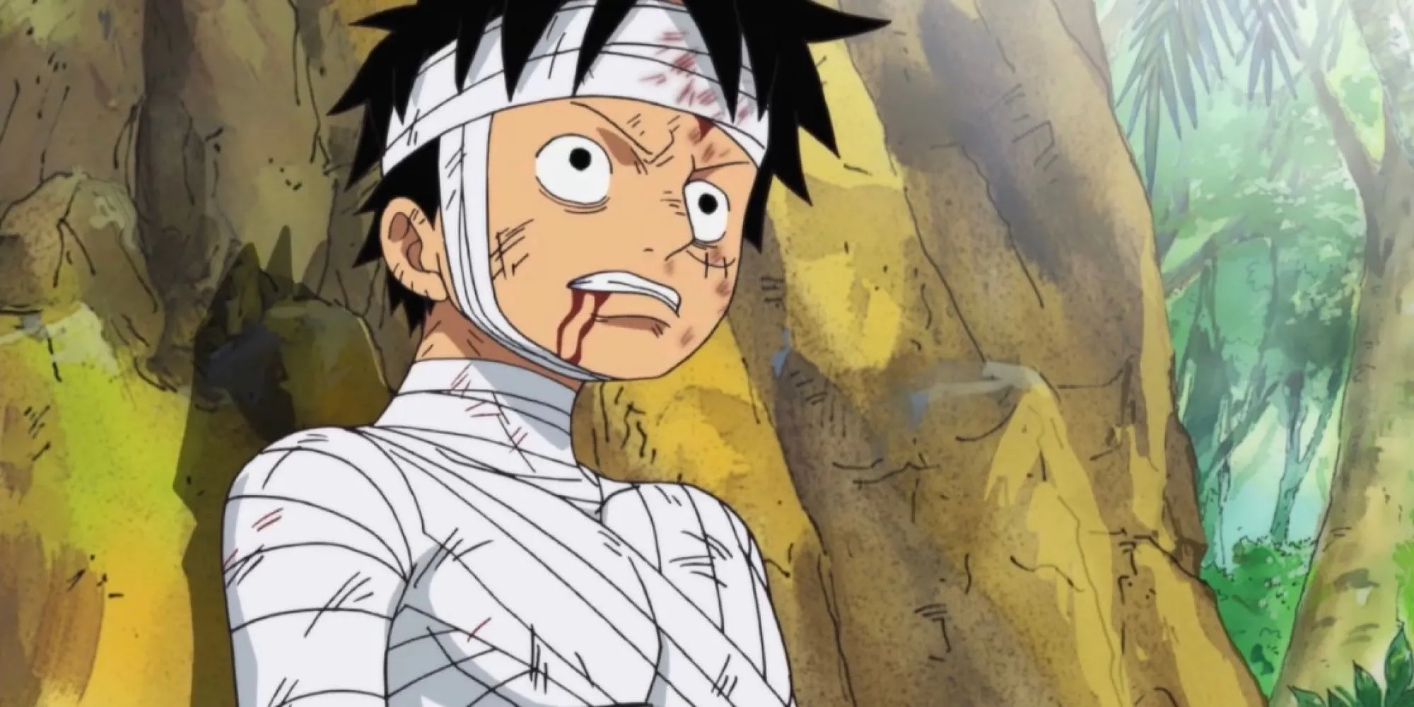 Luffy đau khổ sau trận chiến Marineford và cái chết của Ace