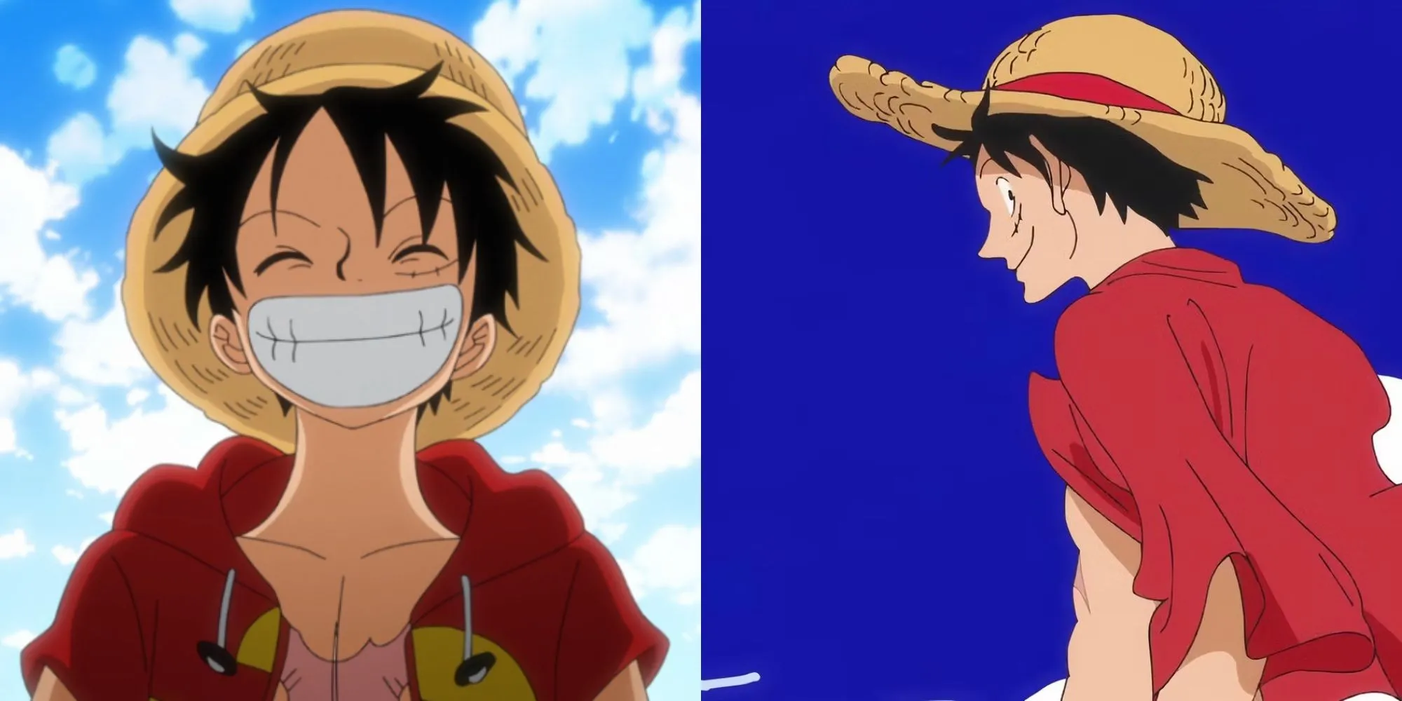 Monkey D. Luffy, thuyền trưởng Băng Hải Tặc Mũ Rơm, trong One Piece