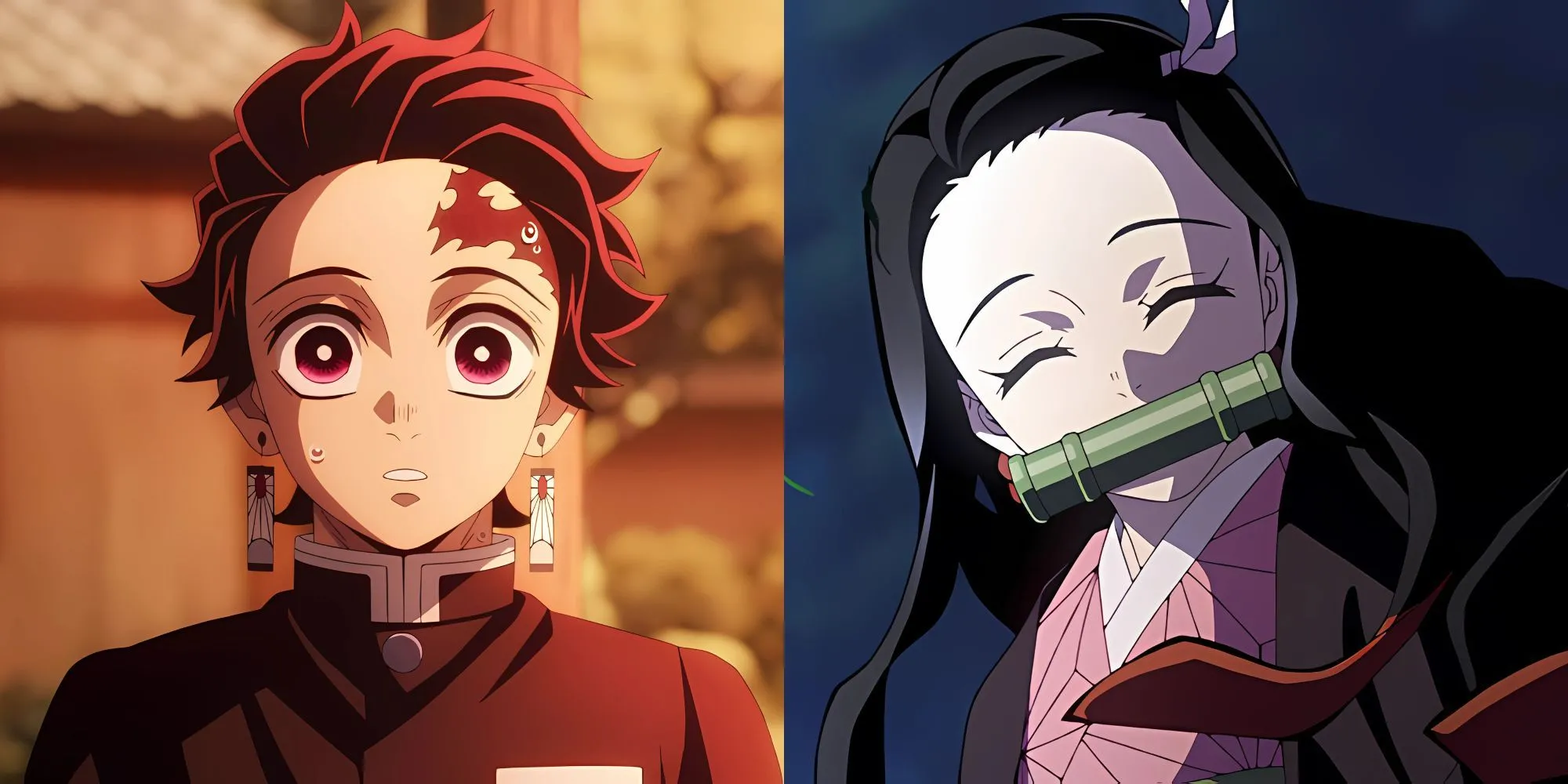 Tanjiro Kamado chiến đấu cùng các Trụ Cột trong Demon Slayer