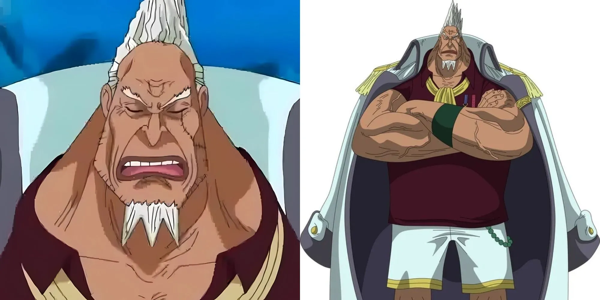 Tổng Tư lệnh Kong của Chính quyền Thế giới One Piece