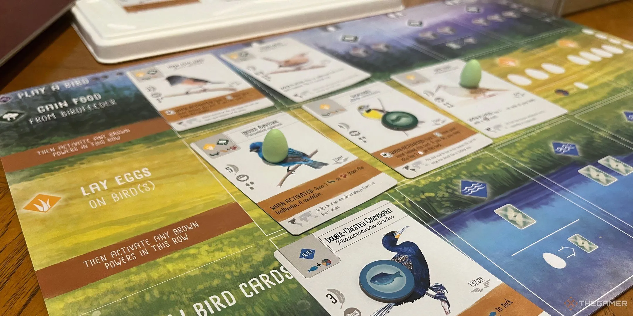 Bàn chơi cá nhân trong game Wingspan với các thẻ chim và trứng trên ô môi trường