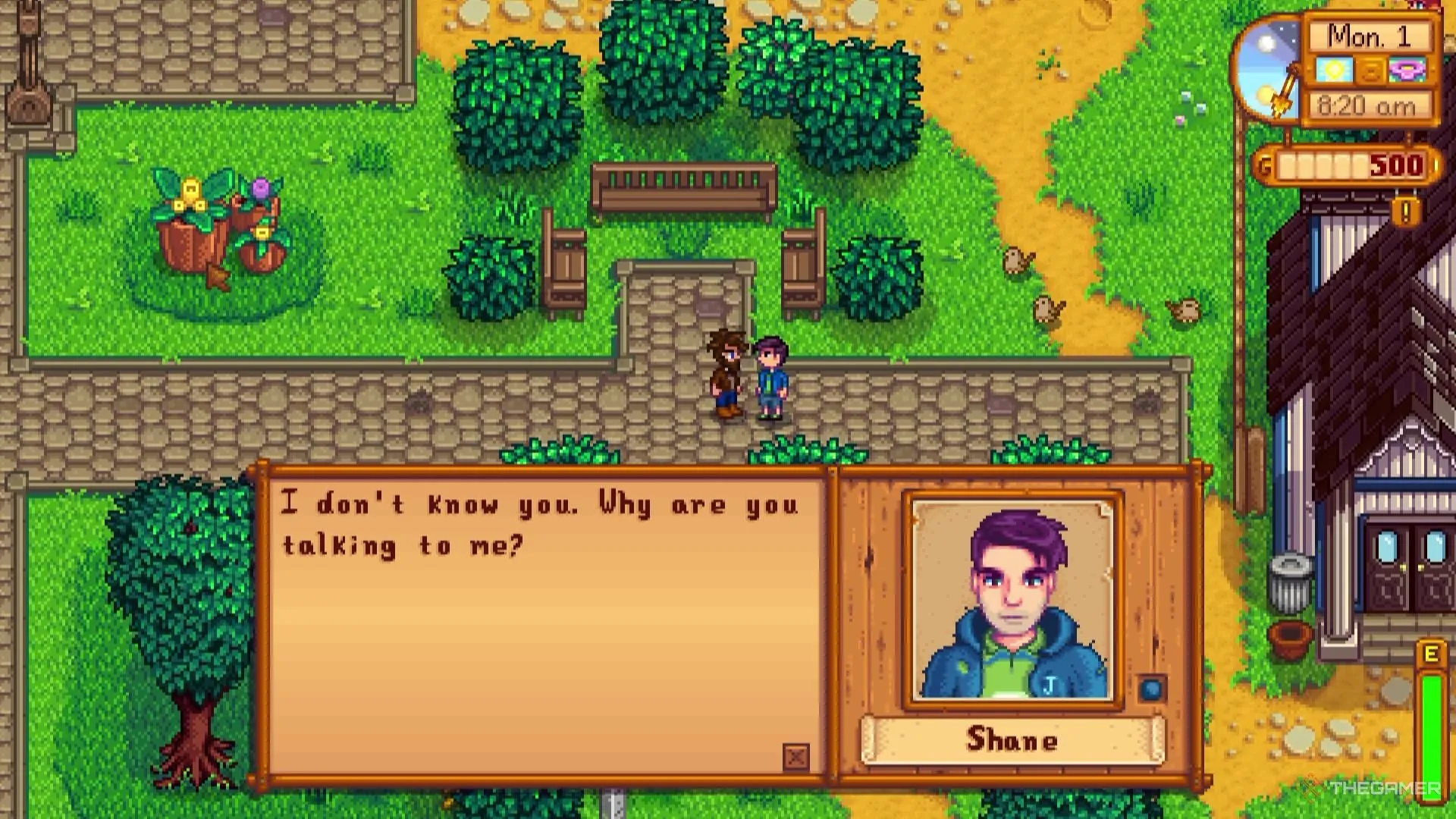 Người chơi gặp gỡ Shane trong thị trấn Stardew Valley
