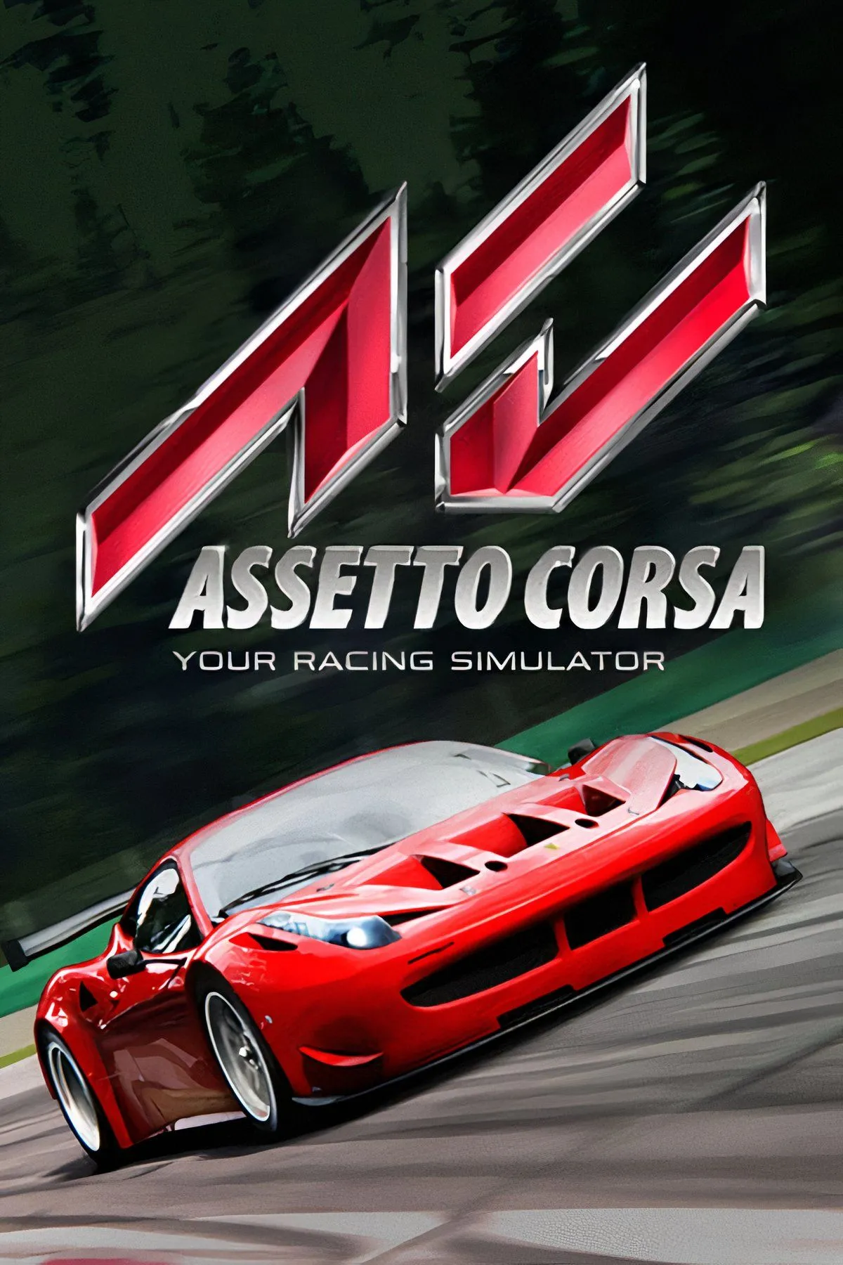 Ảnh tổng hợp Assetto Corsa Rally: danh sách xe và môi trường đường đua