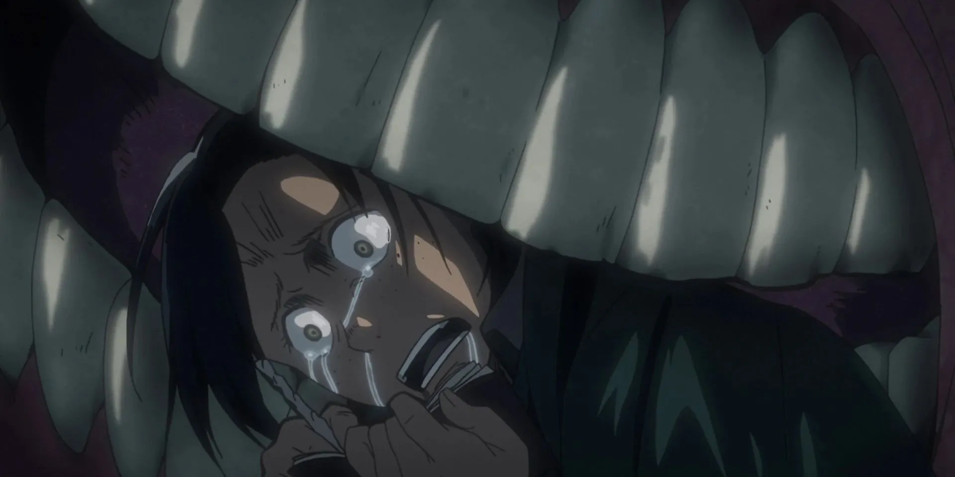 Nhật ký và thi thể Ilse, manh mối quan trọng về hành vi Titan